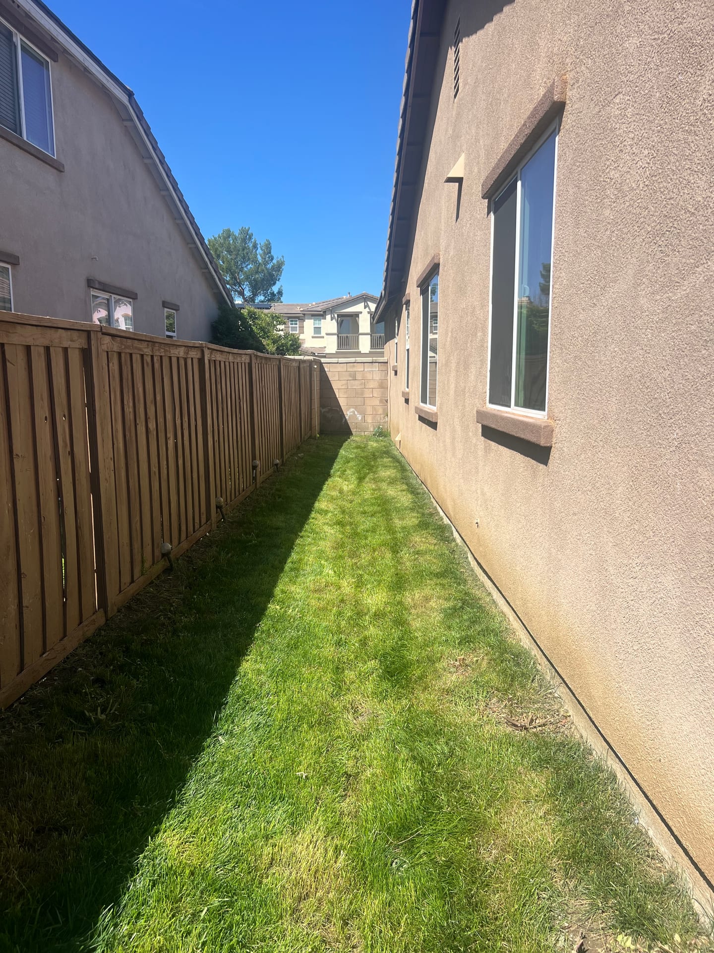 Hemet Care-Ready Home (Gated Community) — backyard