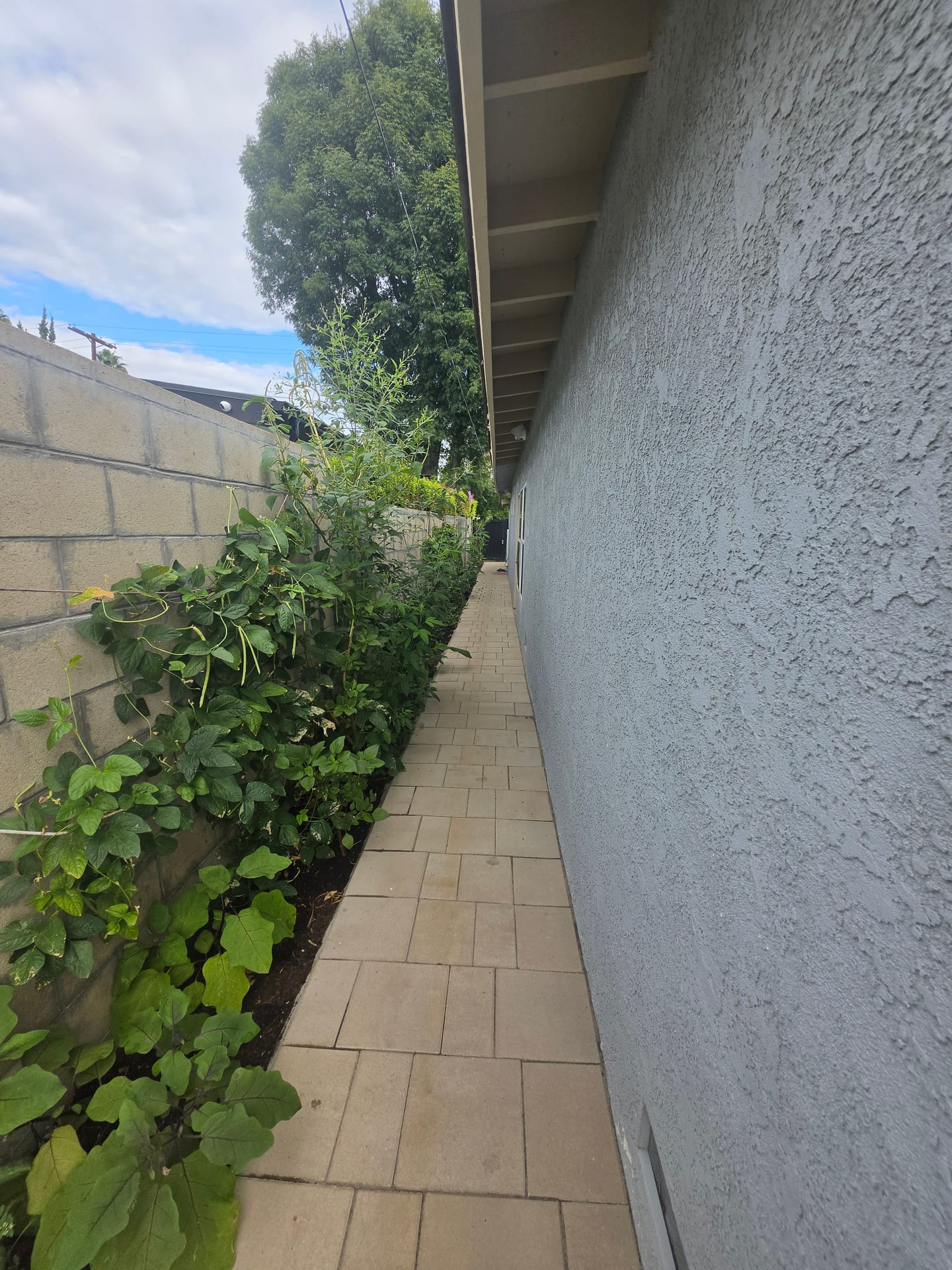 Vacant Care-Ready Property for Lease in Woodland Hills, CA — side garden